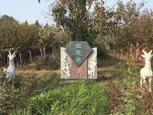 風(fēng)景展示
