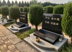 公告